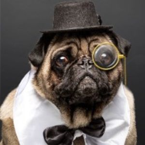 Meet your Posher, Colton